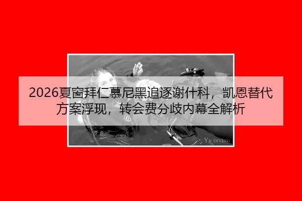 2026夏窗拜仁慕尼黑追逐谢什科，凯恩替代方案浮现，转会费分歧内幕全解析